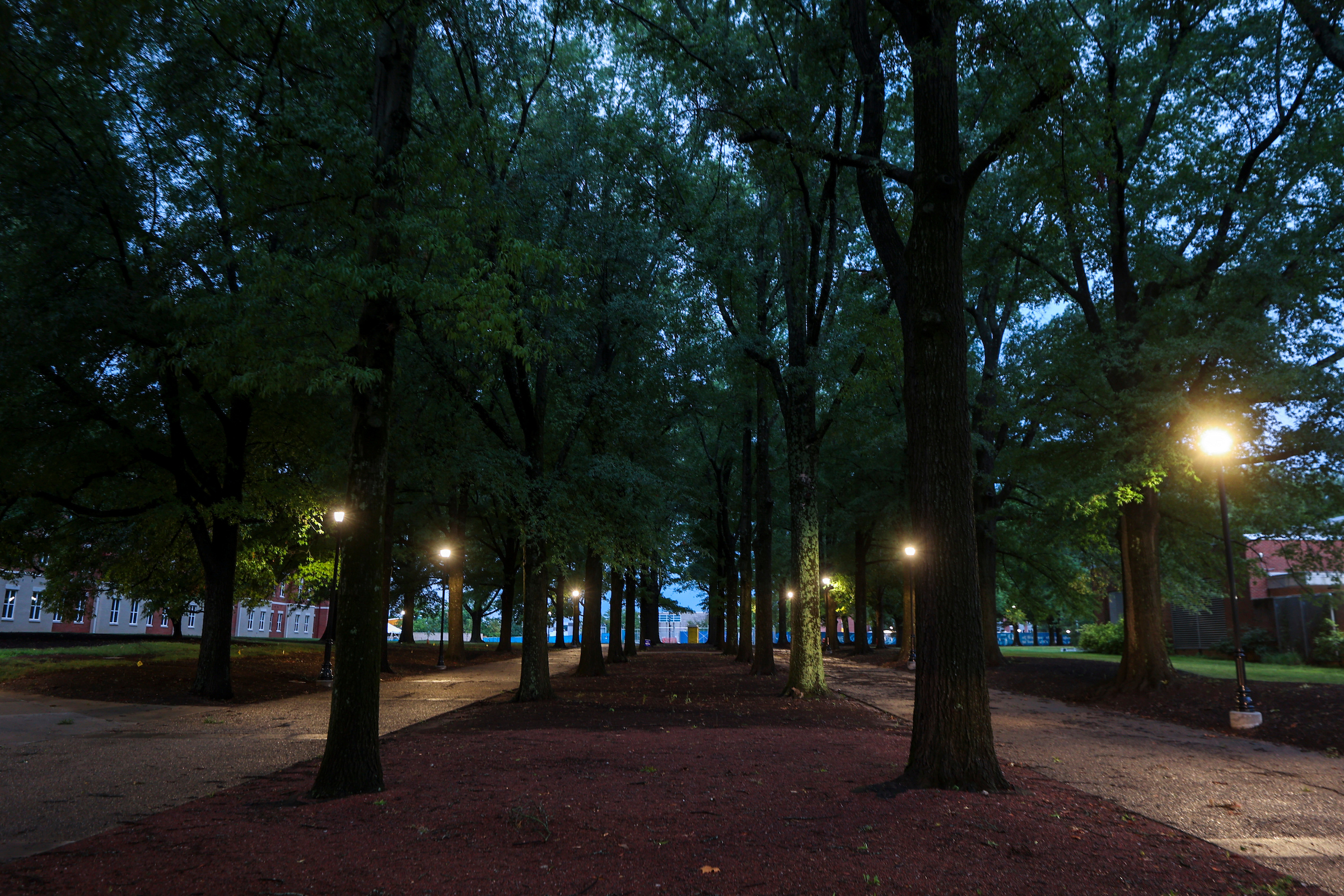 Lit pathway near south campus residence halls