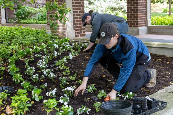 Two grounds workers planting flowers at Maxwell Place.