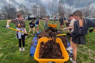 Students help plant trees on campus.