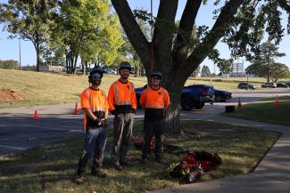 Three aborists from UK Grounds Arboriculture team pose in front of a tree