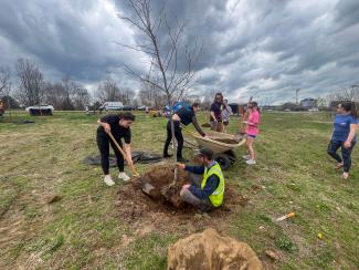 UK Students and UK arboriculture team planting trees on campus.