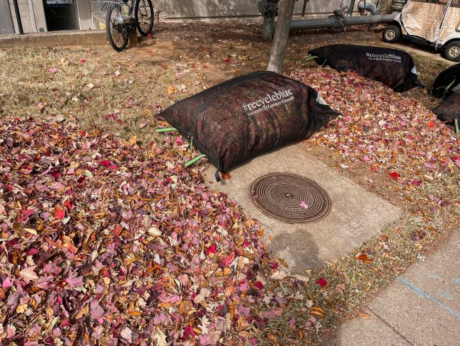 Bags of fallen leaves on the ground surrounded by piles of leaves 