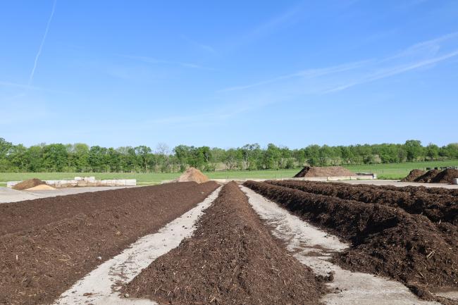 Field with rows of compost