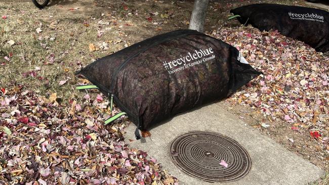 leaf burrito full of leaves to be composted.