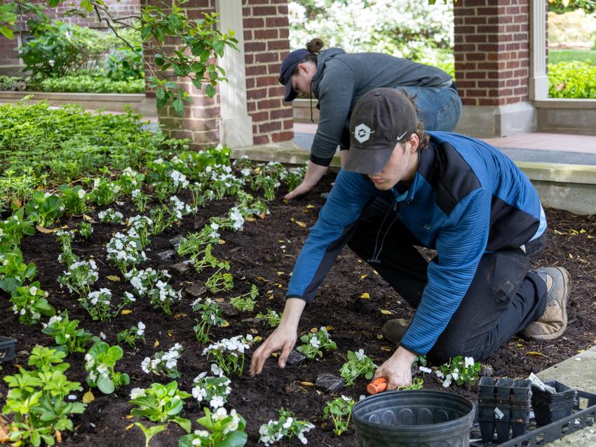 Two grounds workers planting flowers at Maxwell Place.