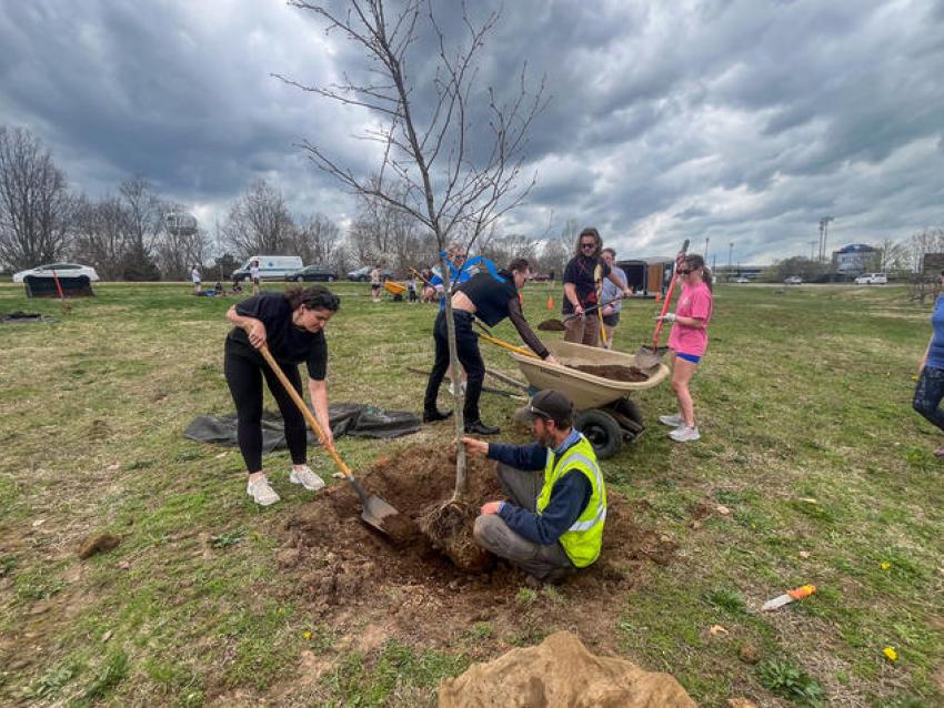 Nic Williamson assists students in planting trees