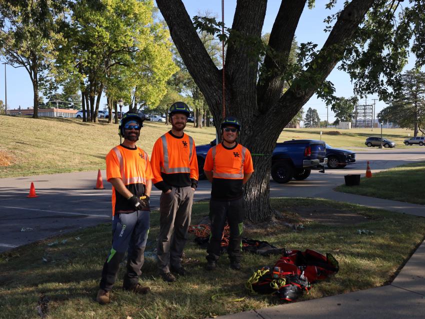 Three people from the Arboriculture team pose in front of a tree